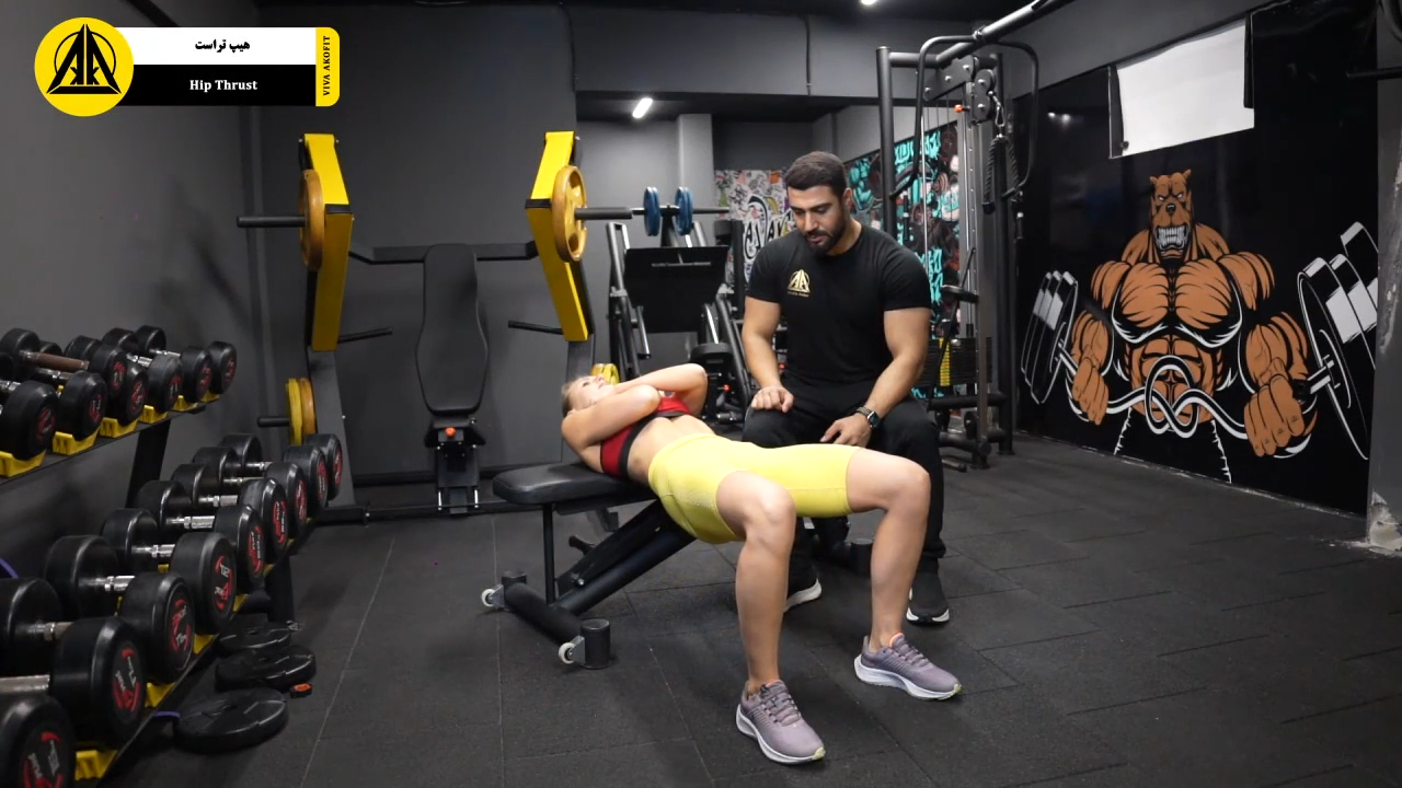هیپ تراست