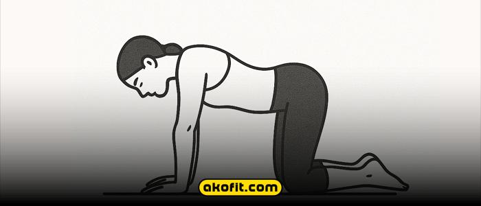 گربه و گاو (Cat-Cow Stretch)