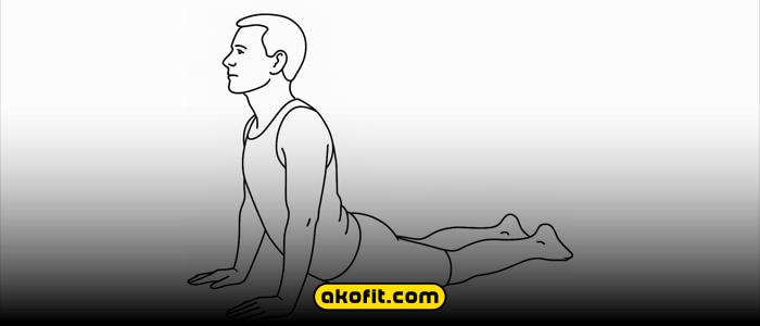 کشش مار کبری (Cobra Stretch – Modified)