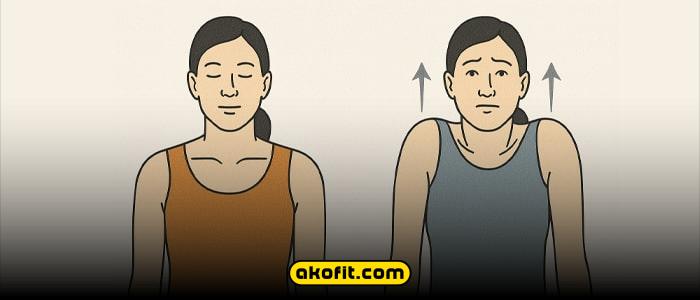 بالا آوردن شانه (Shoulder Blade Squeeze)